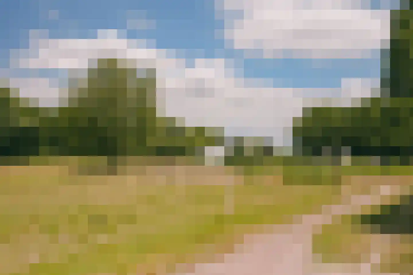 Eerste Verkorting 8 Axel thumbnail 43