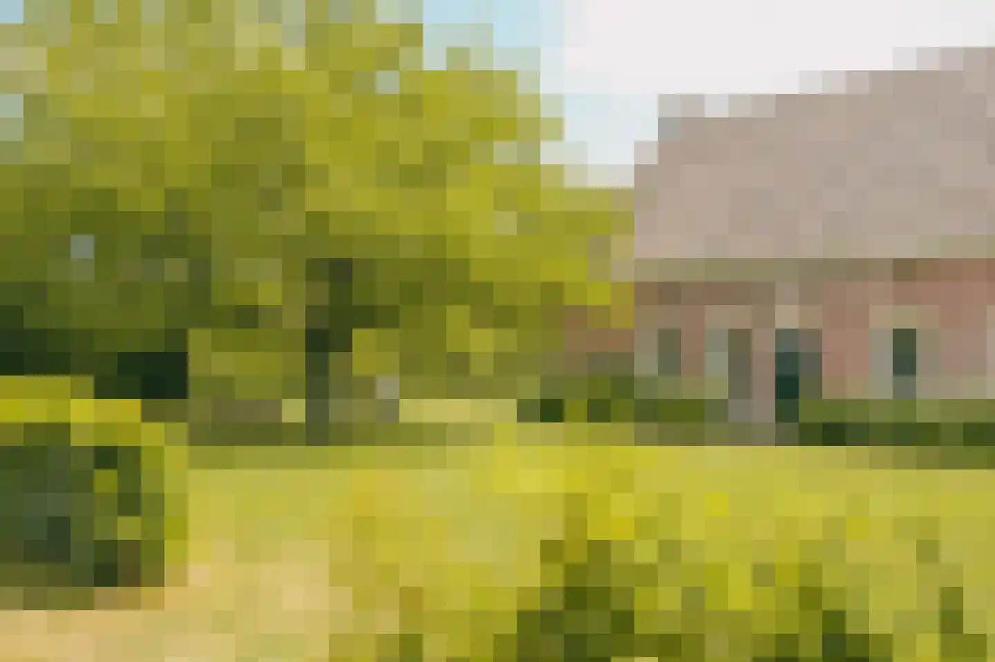 Eerste Verkorting 8 Axel thumbnail 5
