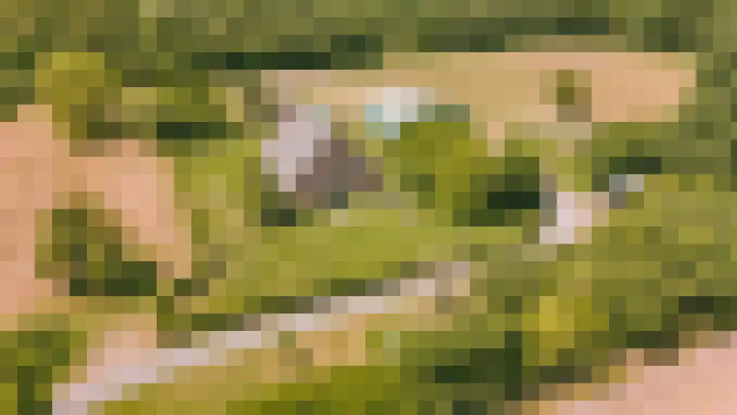 Eerste Verkorting 8 Axel thumbnail 6