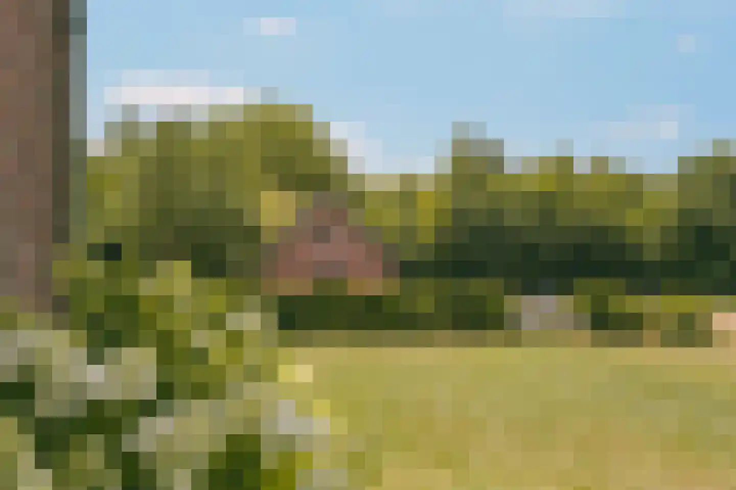 Eerste Verkorting 8 Axel thumbnail 7