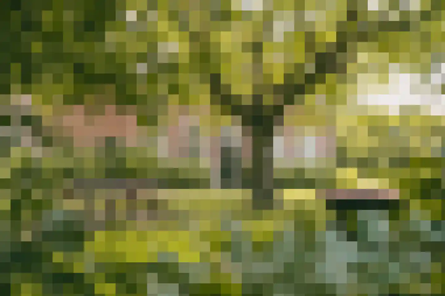 Eerste Verkorting 8 Axel thumbnail 9