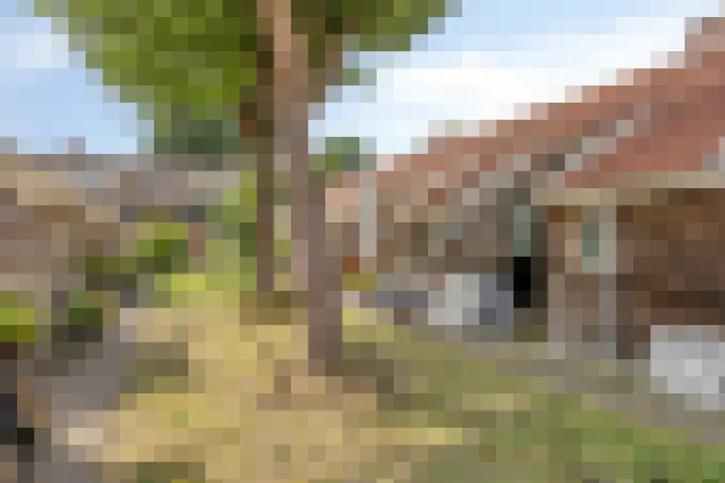 Eerste Vogelstraat 10 Amsterdam thumbnail 17