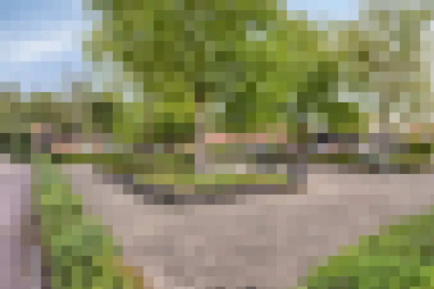 Eerste Vogelstraat 10 Amsterdam thumbnail 20