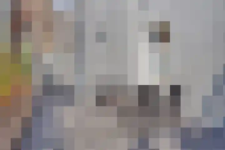 Eerste Walstraat 1 A Nijmegen thumbnail 12