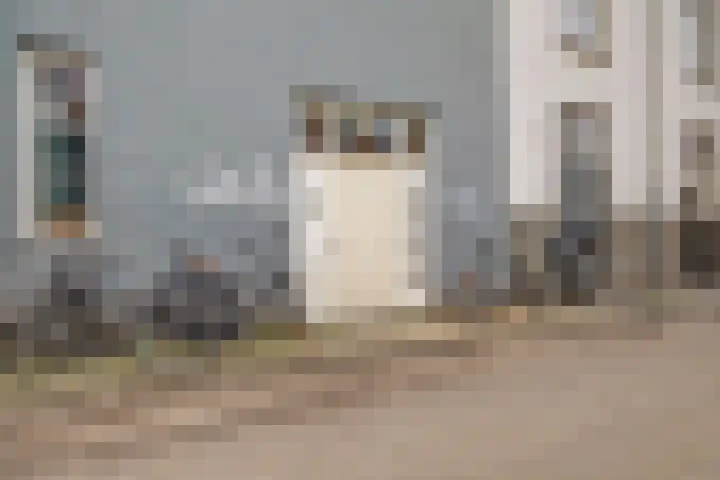 Eerste Walstraat 3 B Nijmegen thumbnail 20