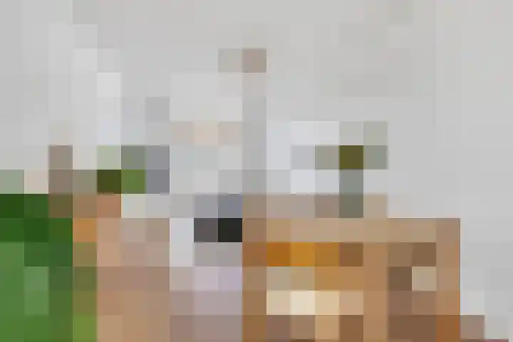 Eerste Weidjesstraat 2 Zwolle thumbnail 11