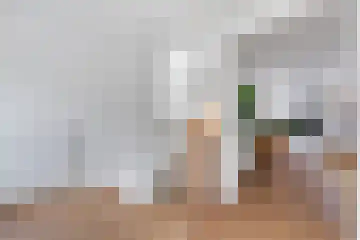 Eerste Weidjesstraat 2 Zwolle thumbnail 12