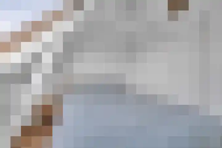Eerste Weidjesstraat 2 Zwolle thumbnail 20