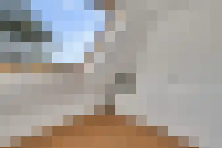 Eerste Weidjesstraat 2 Zwolle thumbnail 24