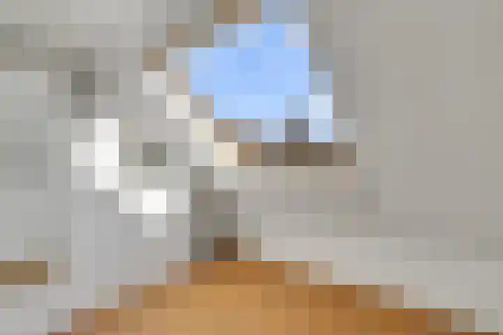 Eerste Weidjesstraat 2 Zwolle thumbnail 25
