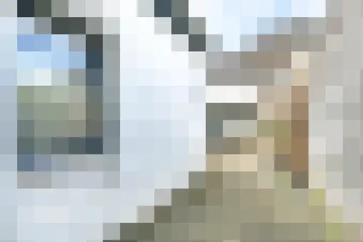 Eerste Weidjesstraat 2 Zwolle thumbnail 33