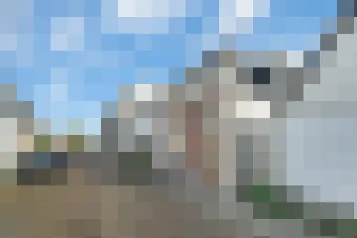 Eerste Weidjesstraat 2 Zwolle thumbnail 36
