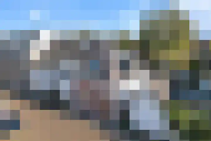 Eerste Weidjesstraat 2 Zwolle thumbnail 37