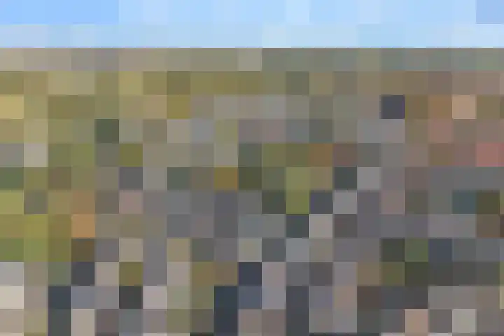 Eerste Weidjesstraat 2 Zwolle thumbnail 42