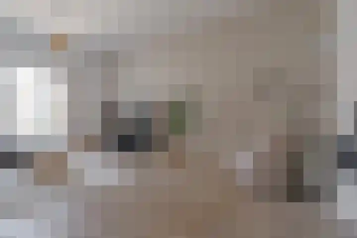Eerste Weidjesstraat 3 Zwolle thumbnail 15