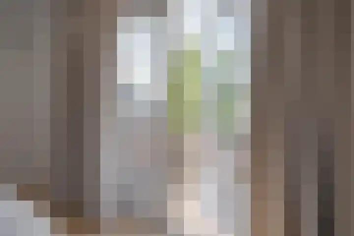 Eerste Weidjesstraat 3 Zwolle thumbnail 31