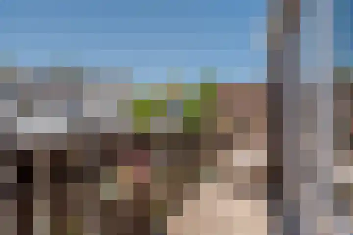 Eerste Weidjesstraat 3 Zwolle thumbnail 32