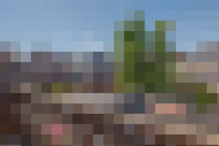 Eerste Weidjesstraat 3 Zwolle thumbnail 33