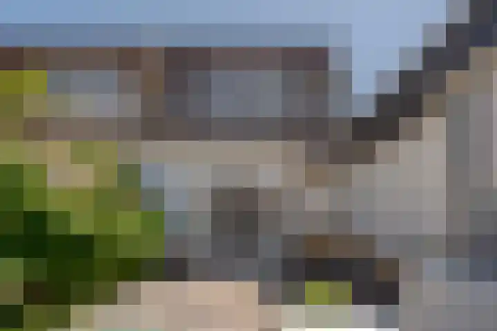 Eerste Weidjesstraat 3 Zwolle thumbnail 4