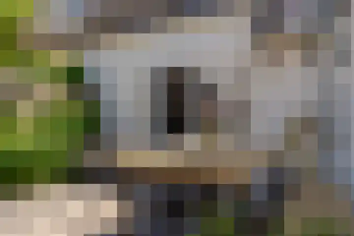 Eerste Weidjesstraat 3 Zwolle thumbnail 44