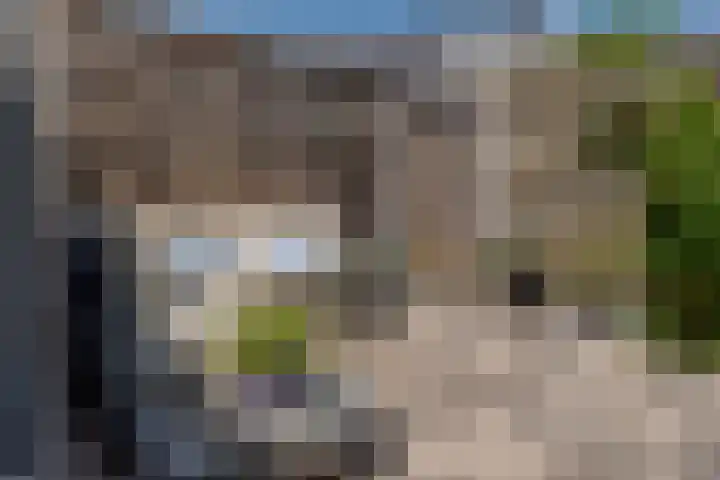 Eerste Weidjesstraat 3 Zwolle thumbnail 49