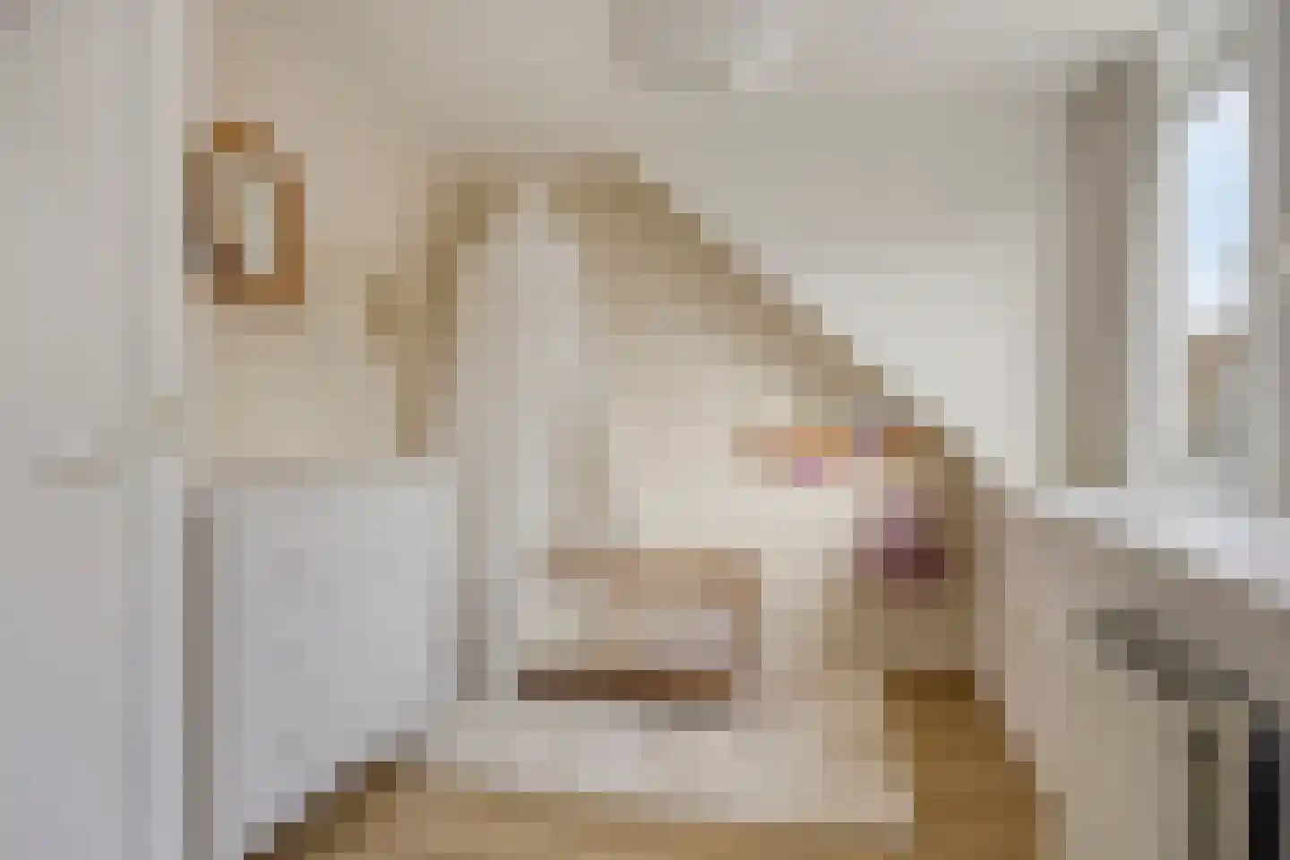 Eerste Weidjesstraat 5 Zwolle thumbnail 26