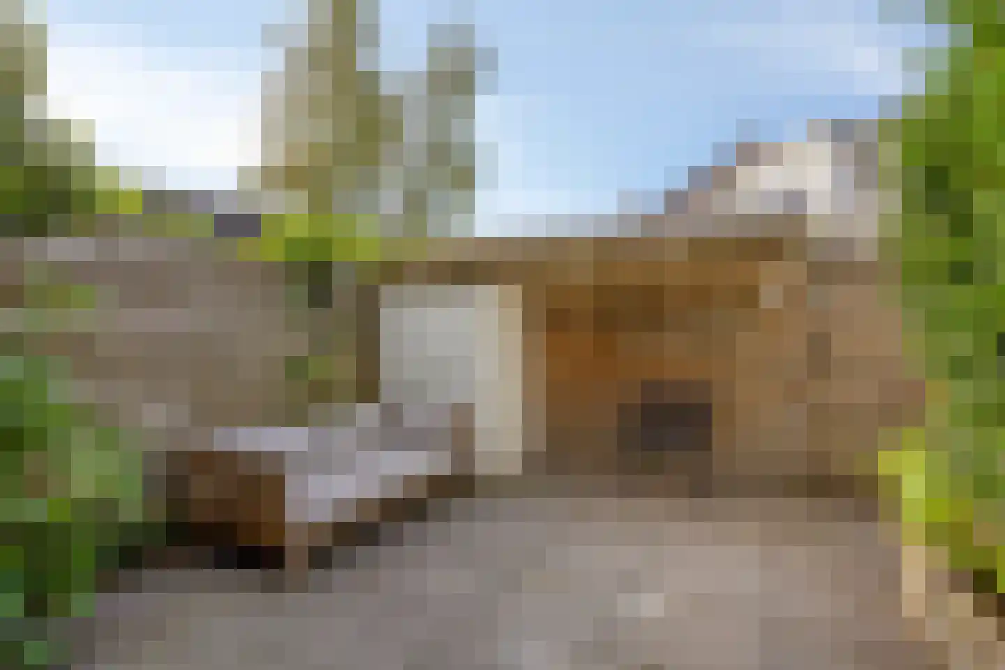 Eerste Weidjesstraat 5 Zwolle thumbnail 32