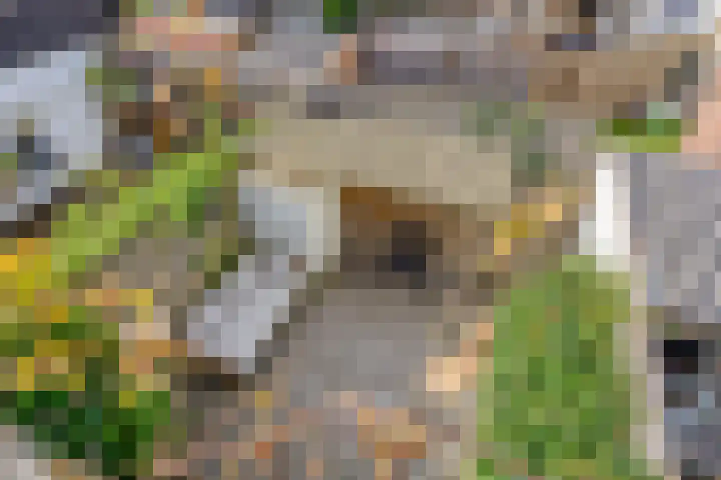 Eerste Weidjesstraat 5 Zwolle thumbnail 33