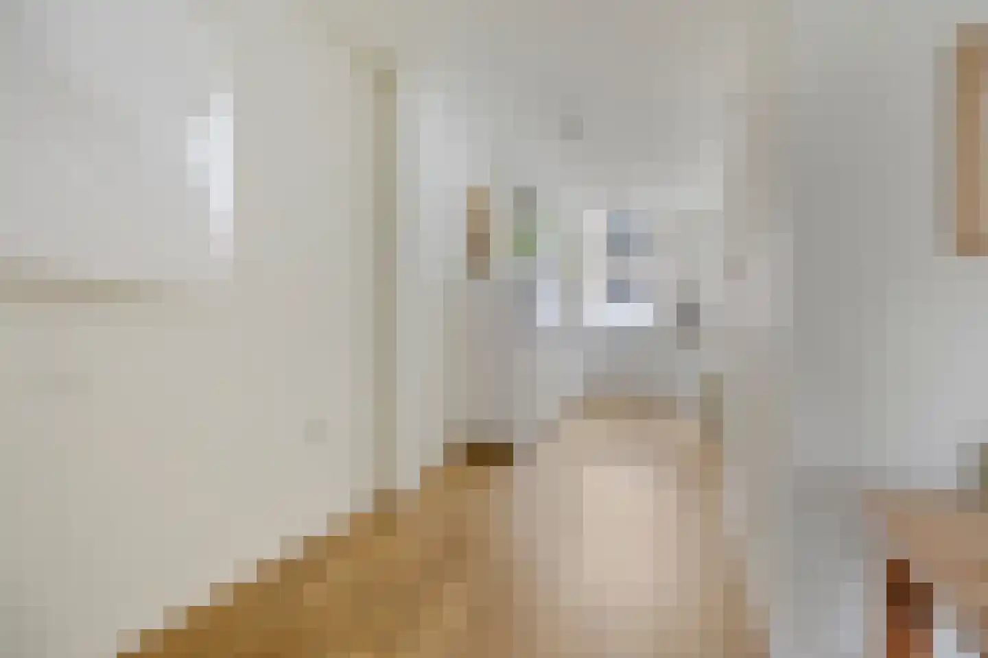 Eerste Weidjesstraat 5 Zwolle thumbnail 8
