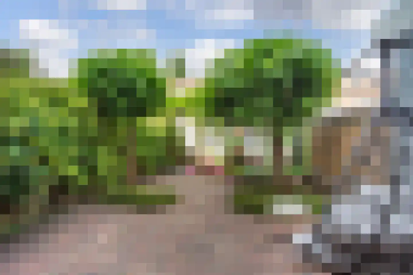 Eerste Westerparklaan 58 Utrecht thumbnail 12