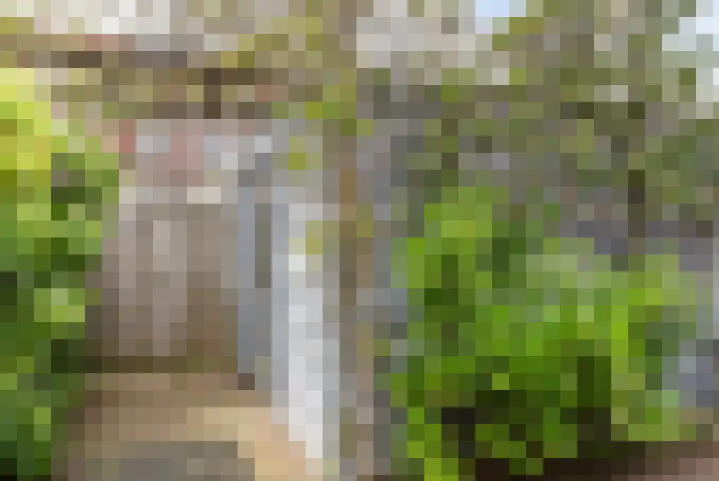Eerste Westerparklaan 58 Utrecht thumbnail 42