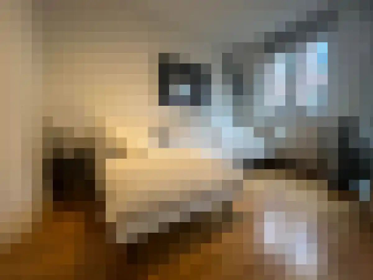 Eerste Weteringdwarsstraat 65 Amsterdam thumbnail 5