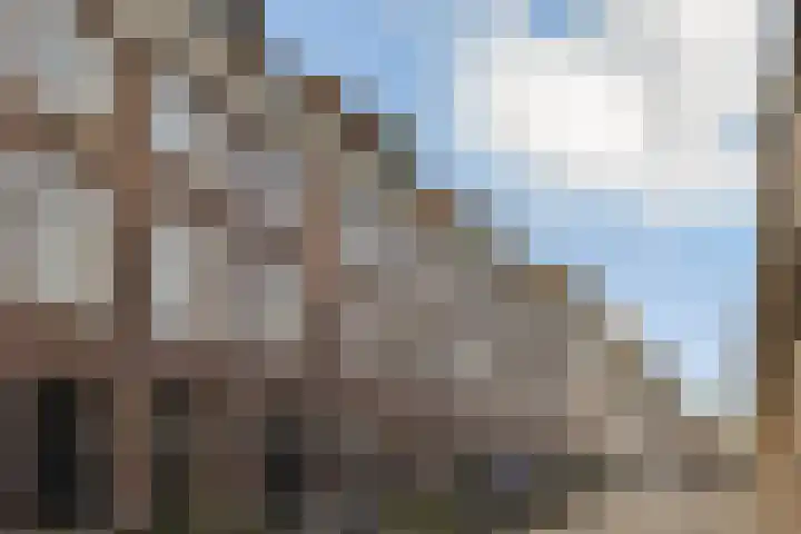 Eerste Weteringdwarsstraat 66 1 Amsterdam thumbnail 19