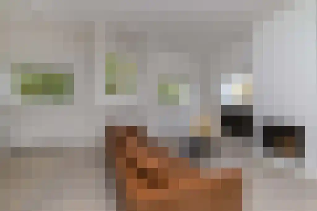 Eerste Weteringplantsoen 6 D Amsterdam thumbnail 6