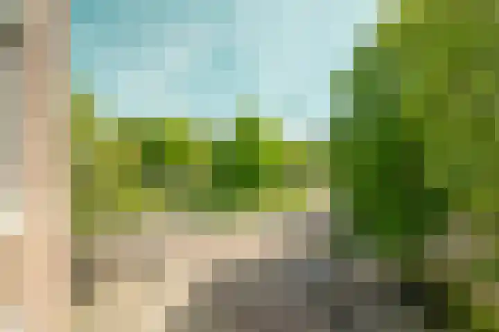 Eerste Weteringplantsoen 60 Amsterdam thumbnail 20