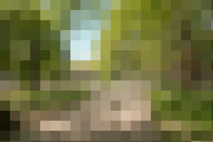 Eerste Weteringplantsoen 60 Amsterdam thumbnail 21