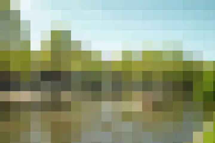Eerste Weteringplantsoen 60 Amsterdam thumbnail 22