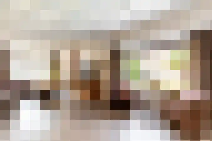 Eerste Zeine 10 b Waalwijk thumbnail 10