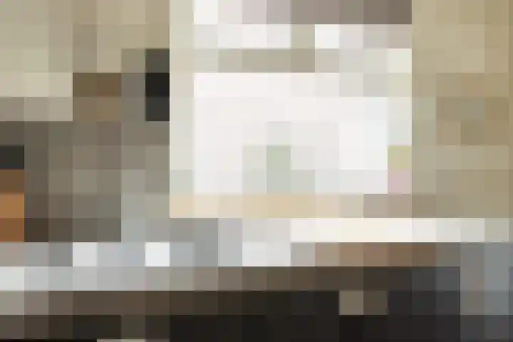 Eerste Zeine 10 b Waalwijk thumbnail 15