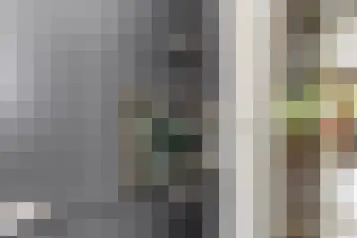 Eerste Zeine 10 b Waalwijk thumbnail 16