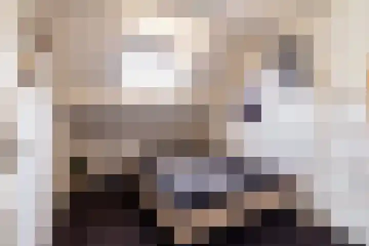Eerste Zeine 10 b Waalwijk thumbnail 27
