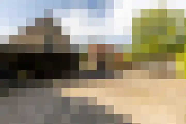 Eerste Zeine 10 b Waalwijk thumbnail 37
