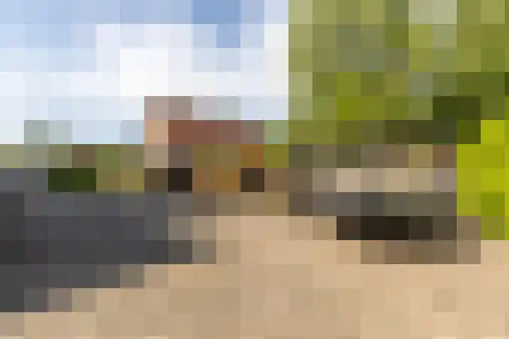Eerste Zeine 10 b Waalwijk thumbnail 38
