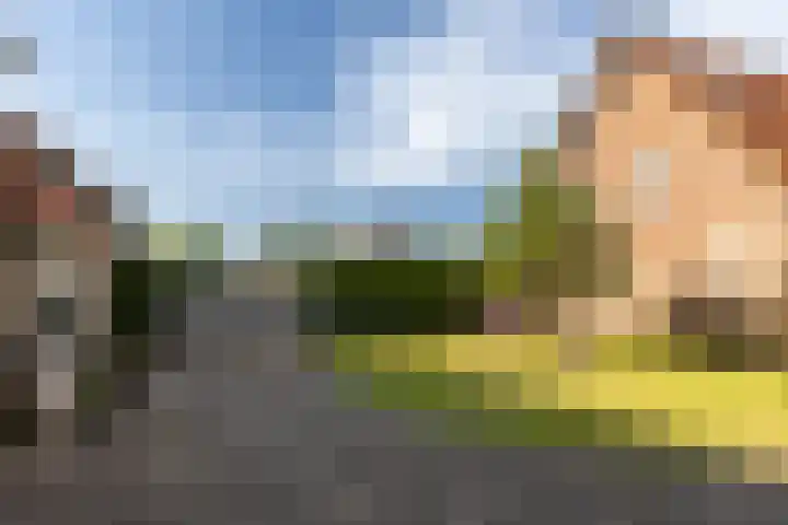 Eerste Zeine 10 b Waalwijk thumbnail 39