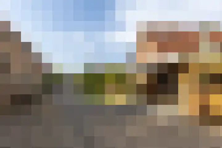 Eerste Zeine 10 b Waalwijk thumbnail 40