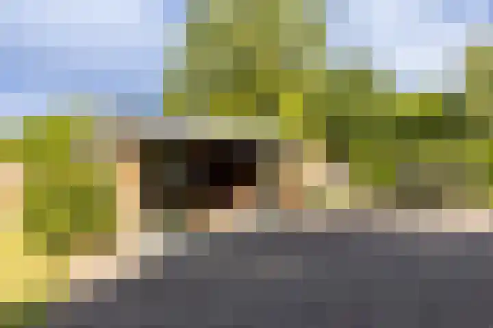 Eerste Zeine 10 b Waalwijk thumbnail 41
