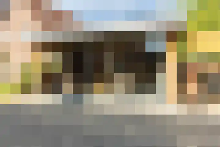 Eerste Zeine 10 b Waalwijk thumbnail 44