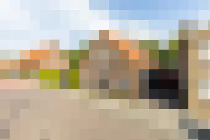 Eerste Zeine 10 b Waalwijk thumbnail 48