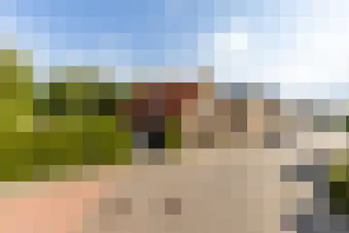 Eerste Zeine 10 b Waalwijk thumbnail 49