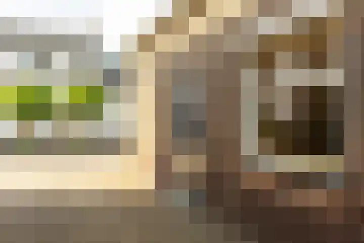 Eerste Zeine 10 b Waalwijk thumbnail 50